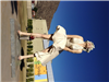 Erne Sherne loves Marilyn and Palm Springs!