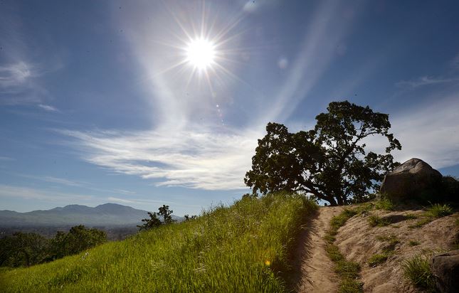 Hiking trail with lush green grass and blue sky