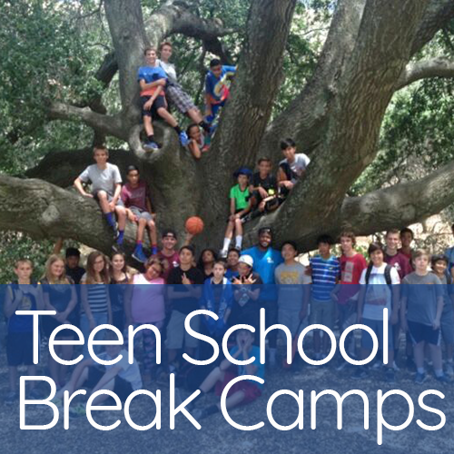 A group of teens in front of and in a tree