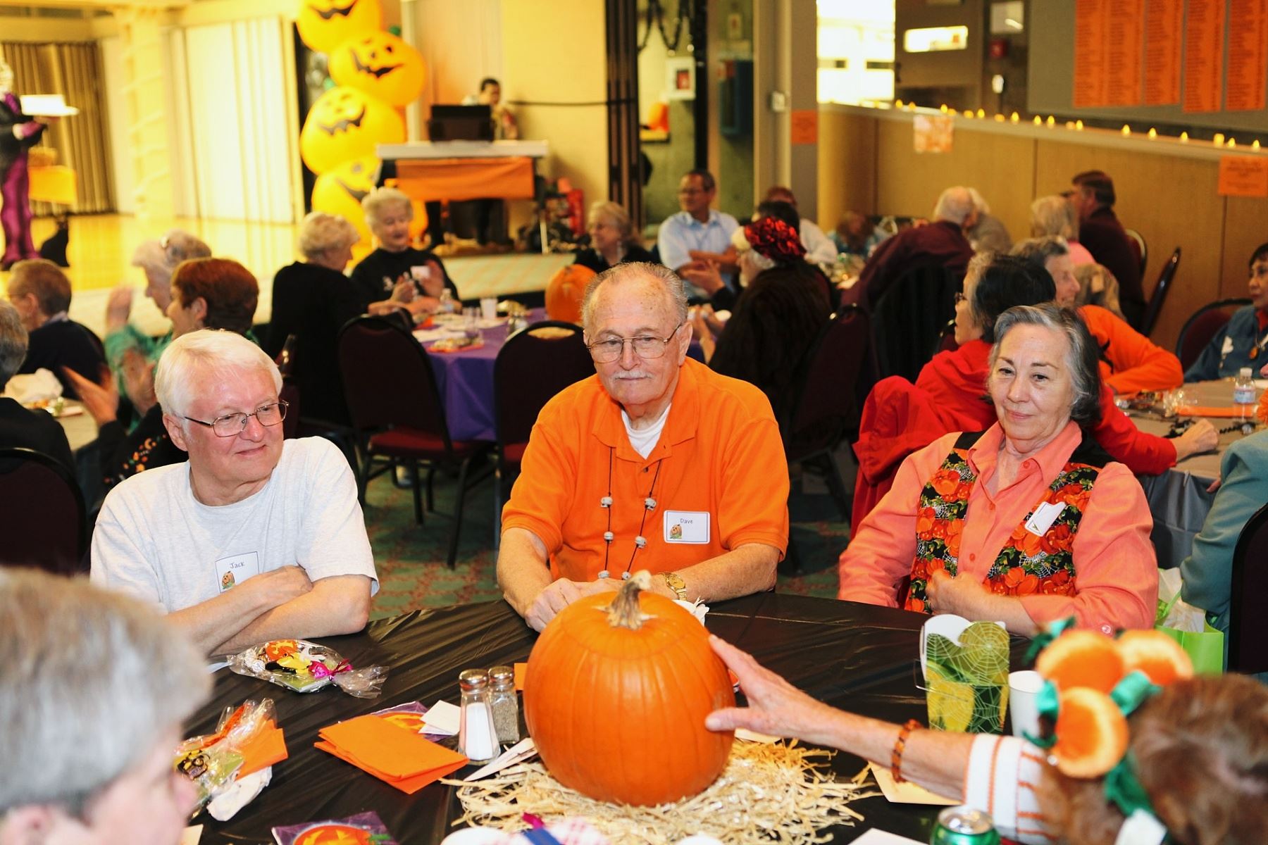 233609375005_261950547005_1000_0007