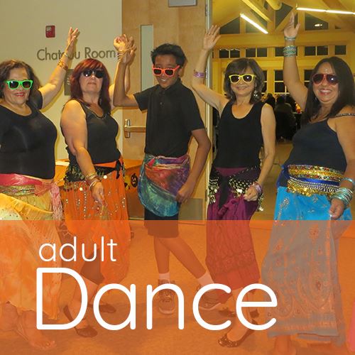 AdultDanceBoxv3
