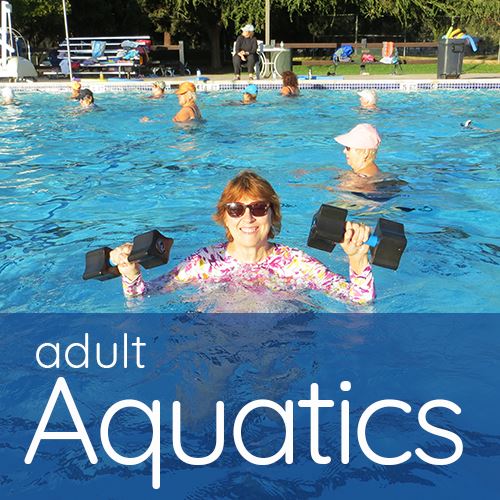 AdultAquaticsBox