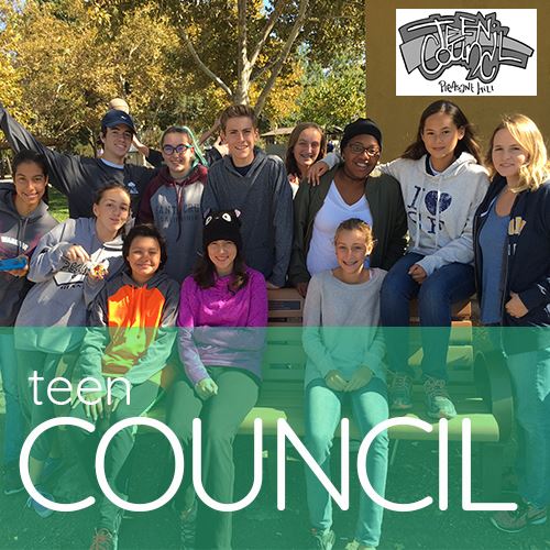 TeenCouncilBox