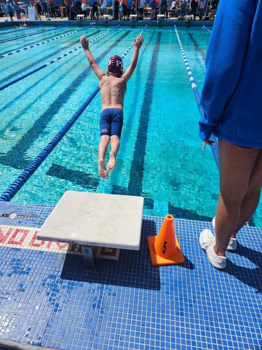 image of a swimmer diving into a swimming pool