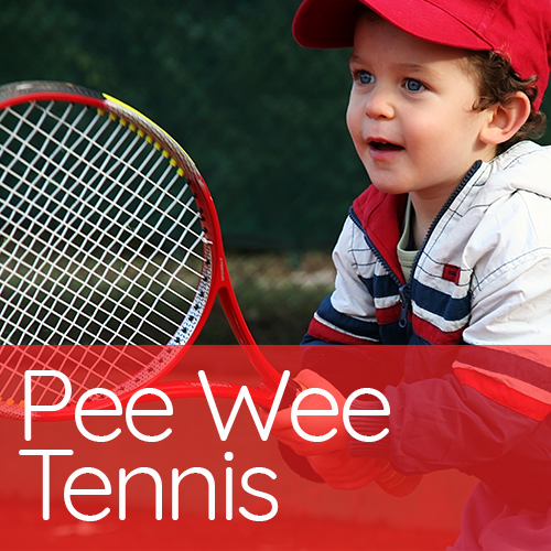 Young boy holding tennis racquet
