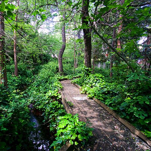 Shannon Hills Park Walking Path
